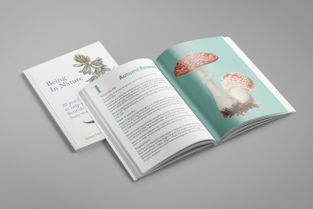 Being in Nature by James Farrell and Lee Evans open book mockup