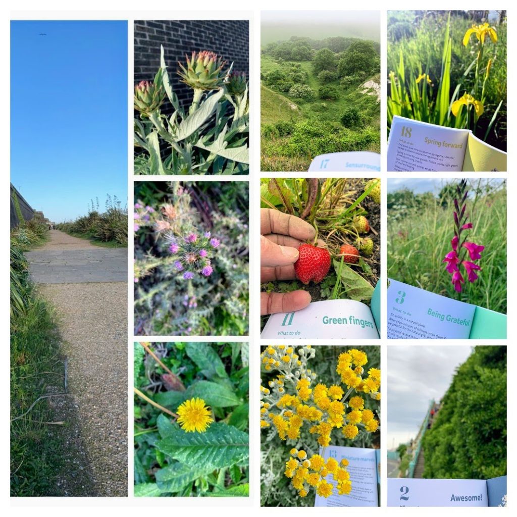 30 days wild photos of nature