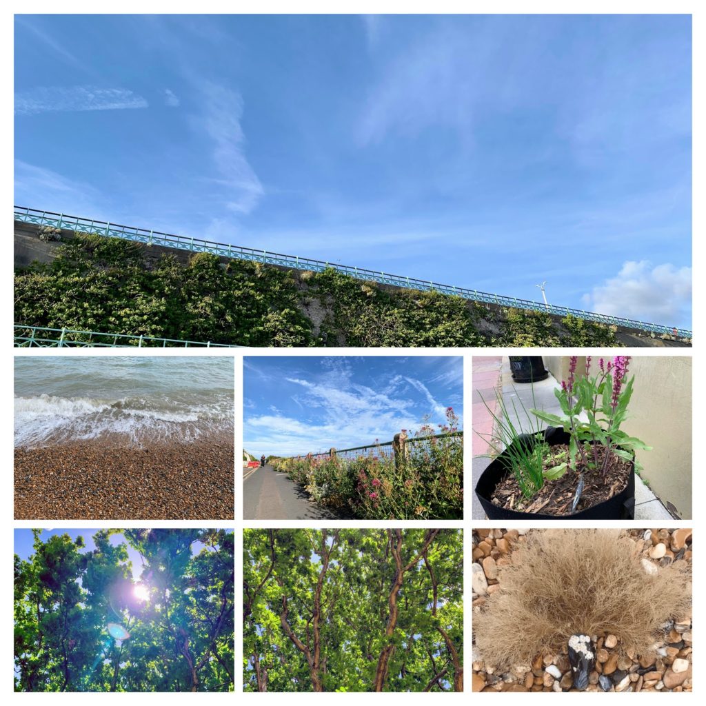 30 Days Wild photos of nature