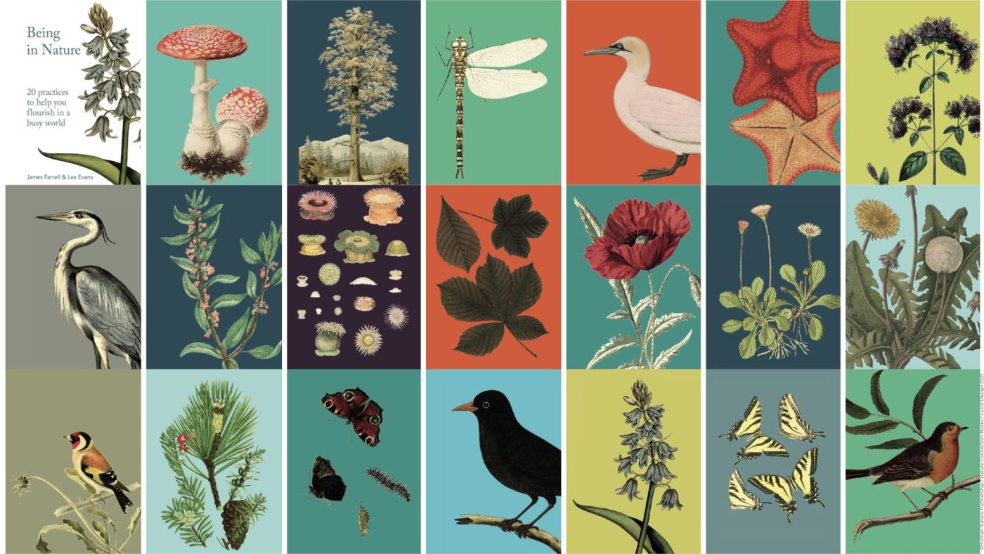 being in nature illustrations